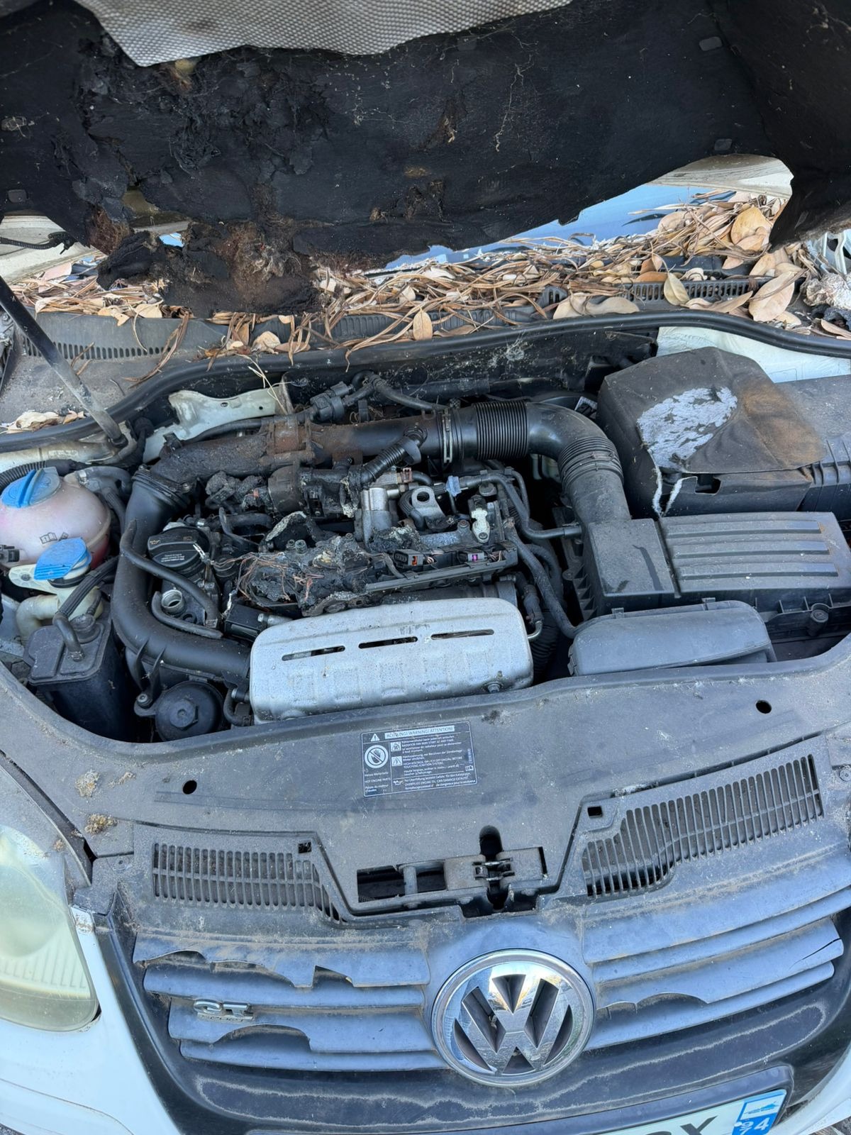 Volkswagen Golf VENDU EN ETAT PROBLEME FAISEAU SPORT AUTO