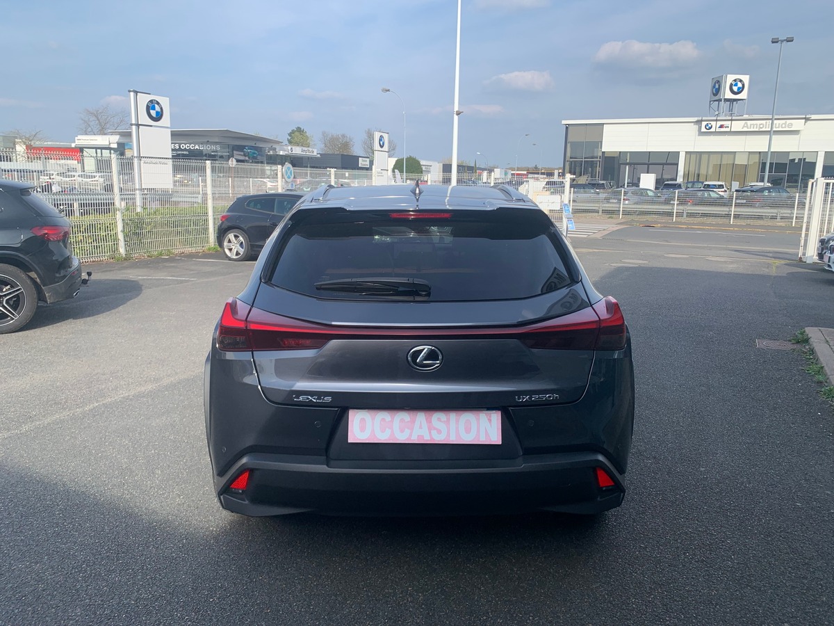Lexus UX 250 | 185 ch | Luxe Techno | Contrôle angles morts | Caméra recul | Hayon électrique