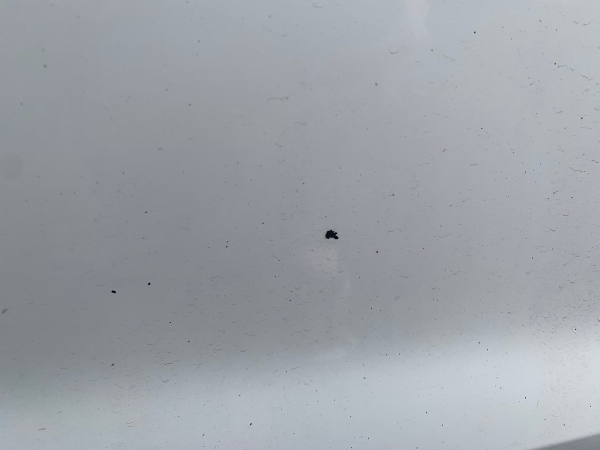 Volkswagen GOLF 7 105 ch | Confortline | Toit ouvrant | Régulateur de vitesse | Radar avant et arriére