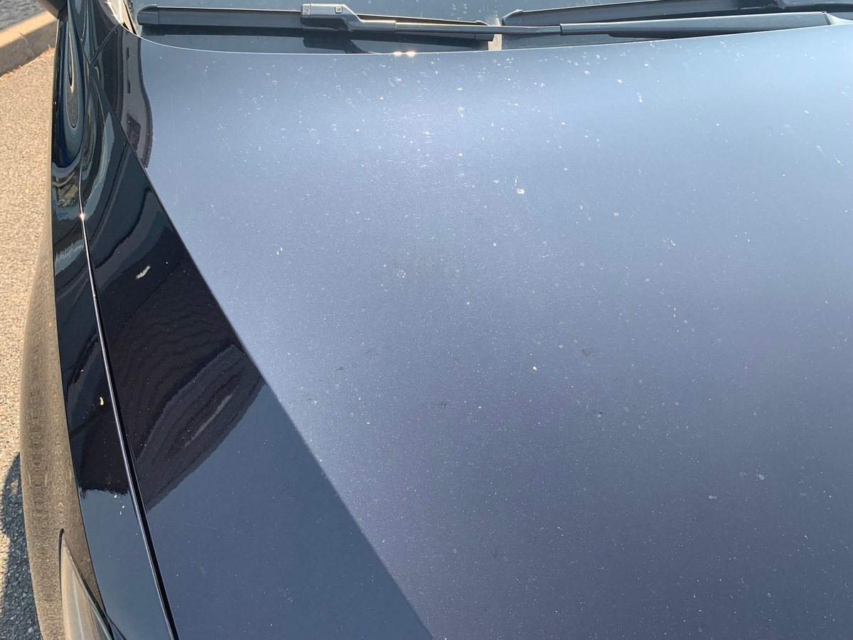 Volkswagen Touran 150 ch | Lounge business | Caméra de recul | Régulateur vitesse | Apple car Play