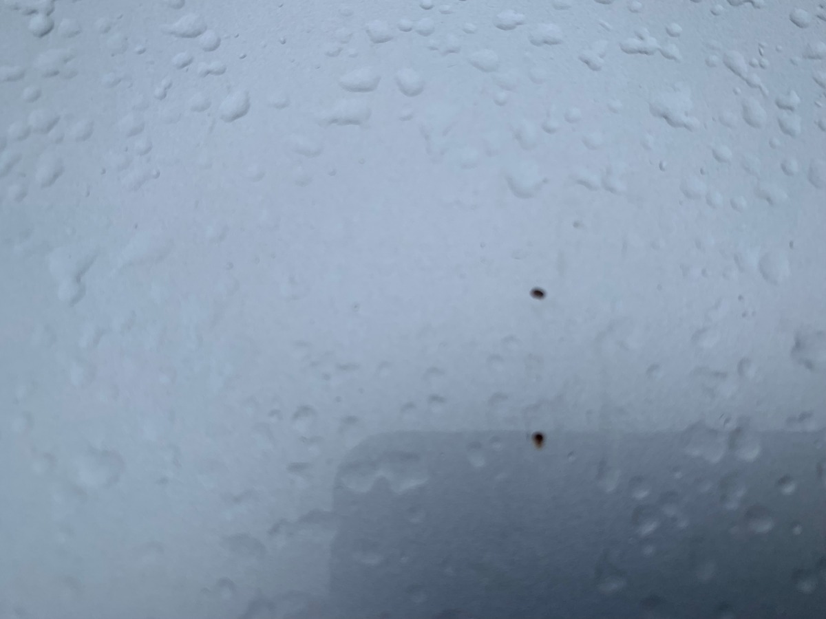 Bmw Série 3 Touring 184 ch | GPS | Radar de recul | Climatisation Auto | Jantes Alu 17"| Attelage