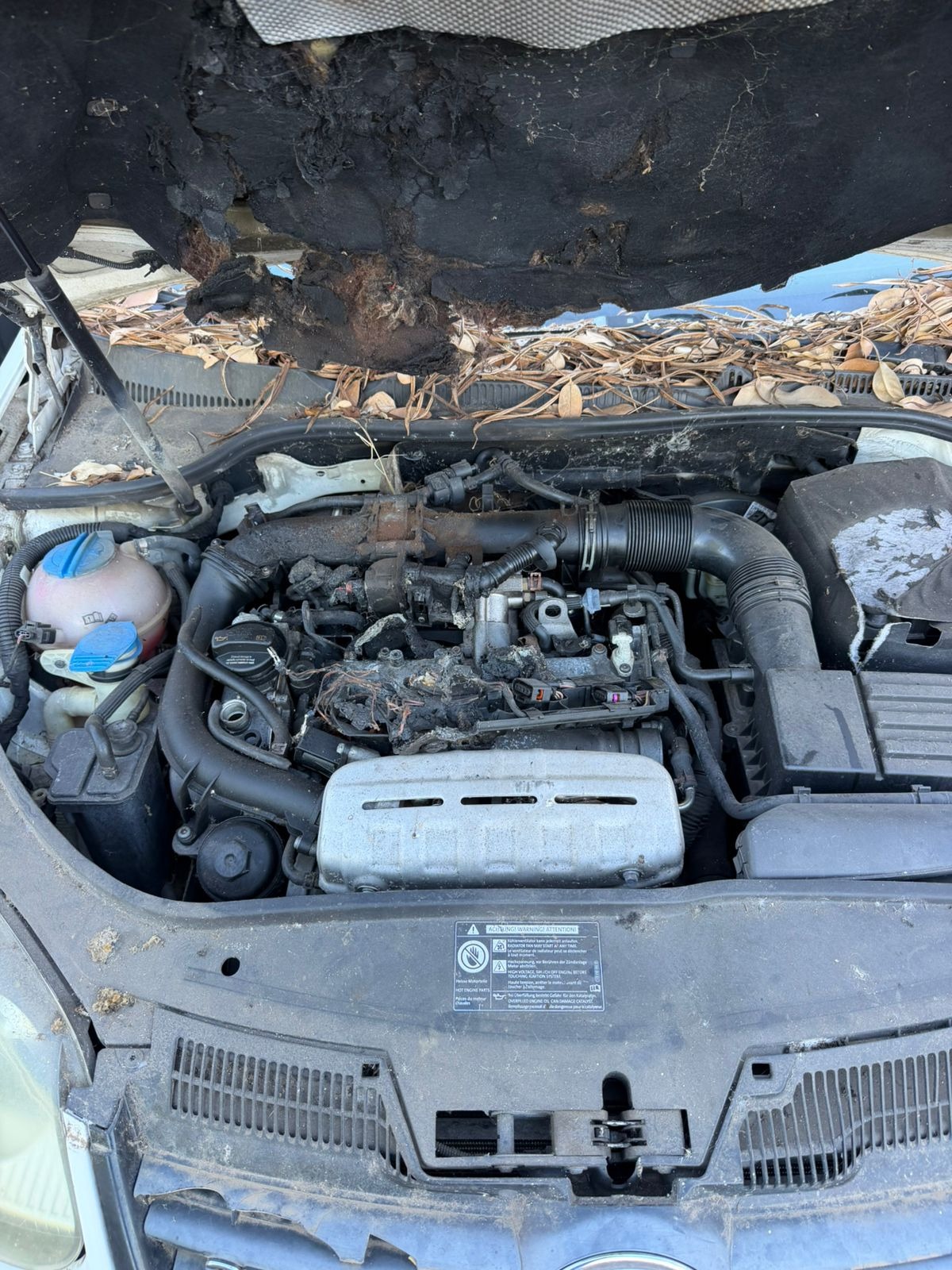 Volkswagen Golf VENDU EN ETAT PROBLEME FAISEAU SPORT AUTO