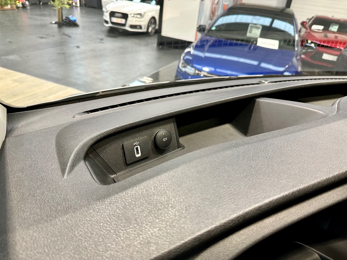 Ford Custom II (2) 290 L1H1 2.0 EcoBlue 185 BVA Sport