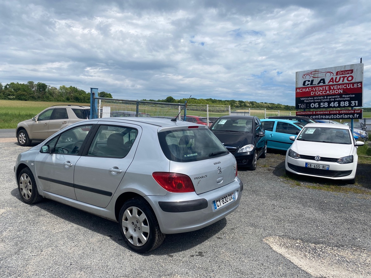 Peugeot 307 2.0 hdi 110cv premium 184090km