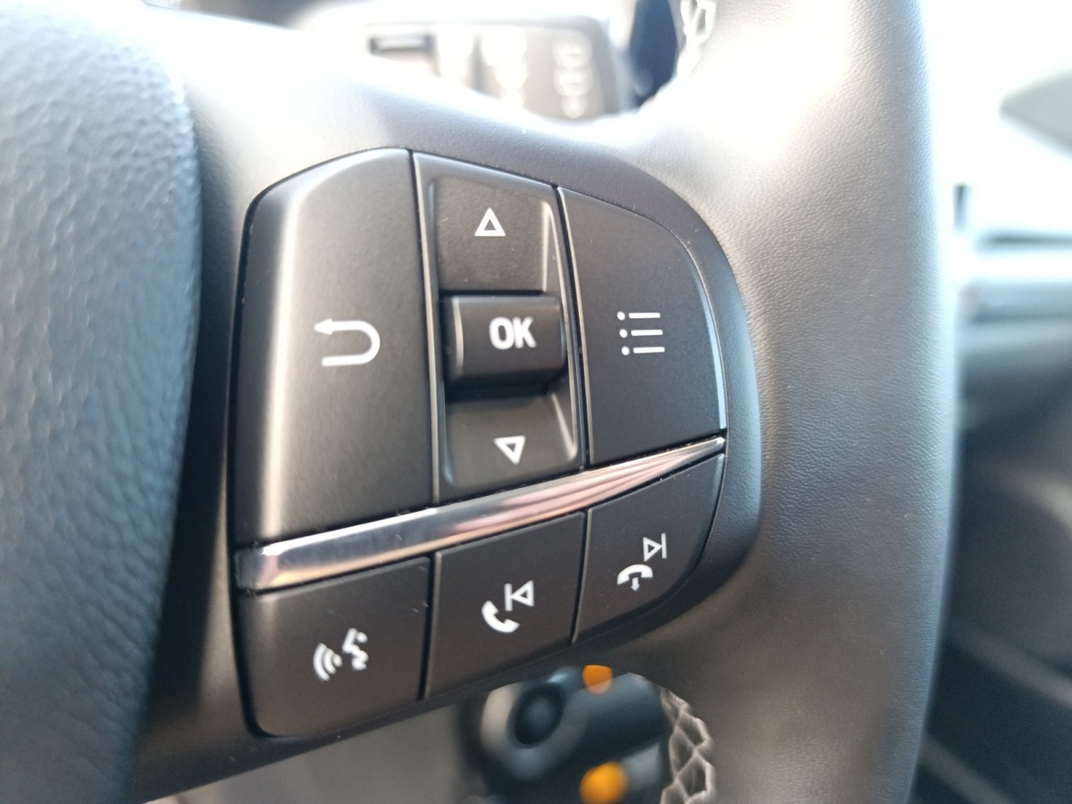 Ford Puma 1.0 FLEXIFUEL 125 CV MHEV TITANIUM BUSINESS