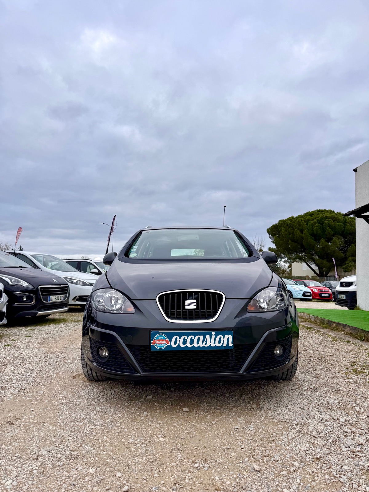 Seat Altea XL 1.6 TDI 105 CV FAMILY TECH