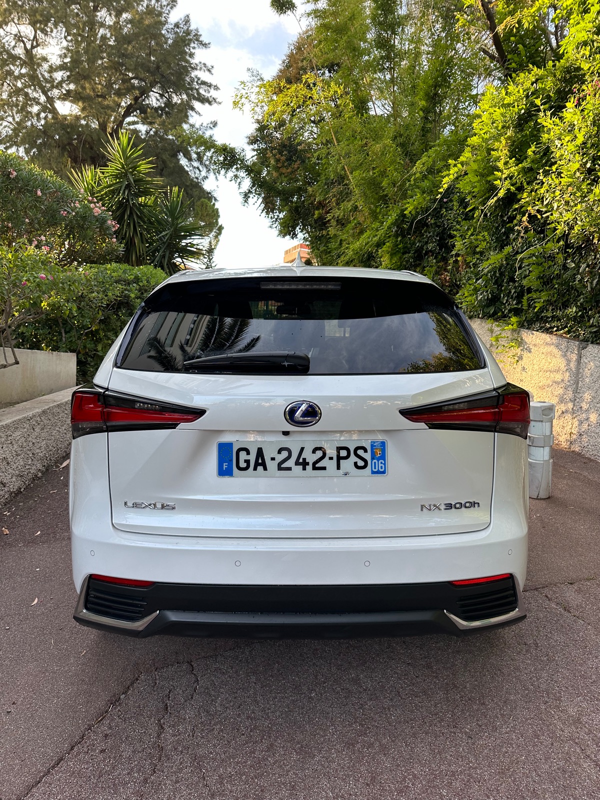 Lexus NX300H 300h 4wd