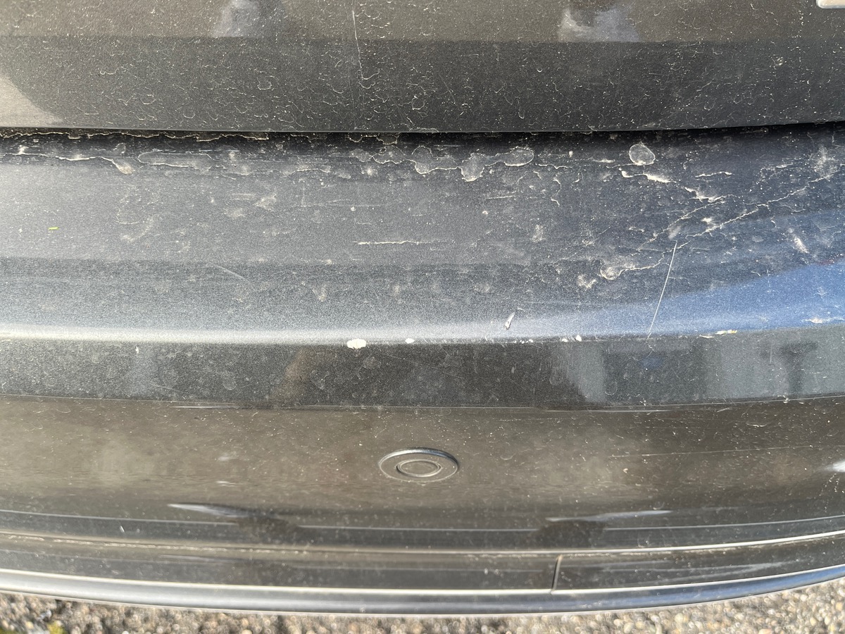 Ford Focus 1.0 Ecoboost 125ch ST LINE, Caméra de recul,  GPS, radars AV et AR, Clim Auto bizone