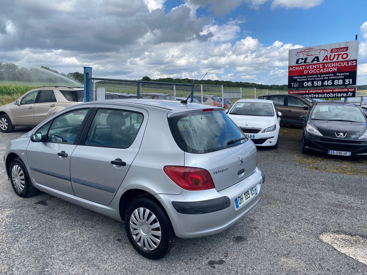Peugeot 307 xr/xs