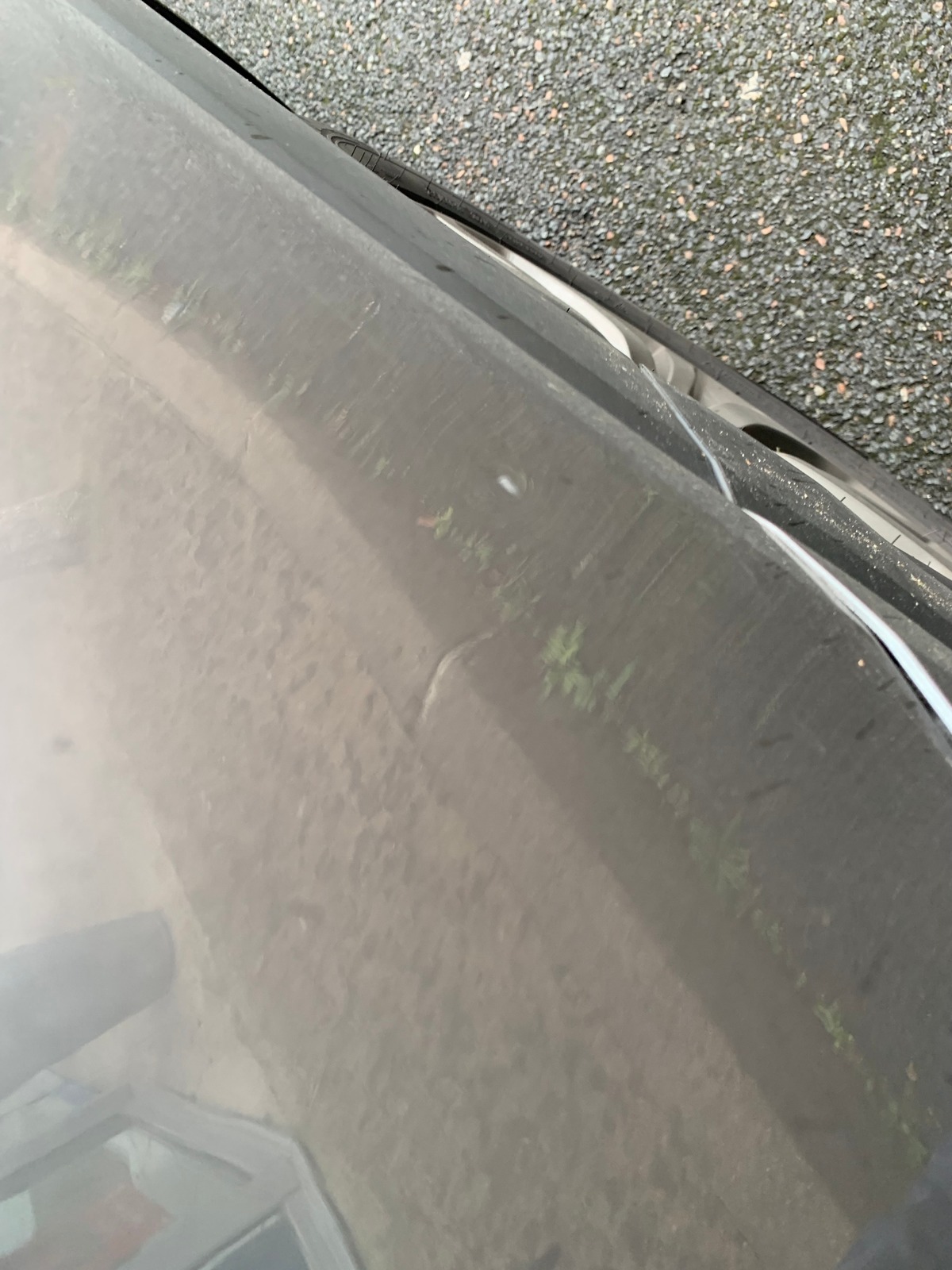 Kia Sorento 200 ch | Premium | 7 Places | AWD | Toit ouvrant panoramique | GPS | Régulateur vitesse