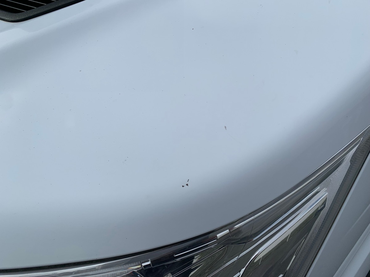 Ford TRANSIT 130 ch | Attelage | Régulateur de vitesse | Bluetooth | Plancher bois et latérale