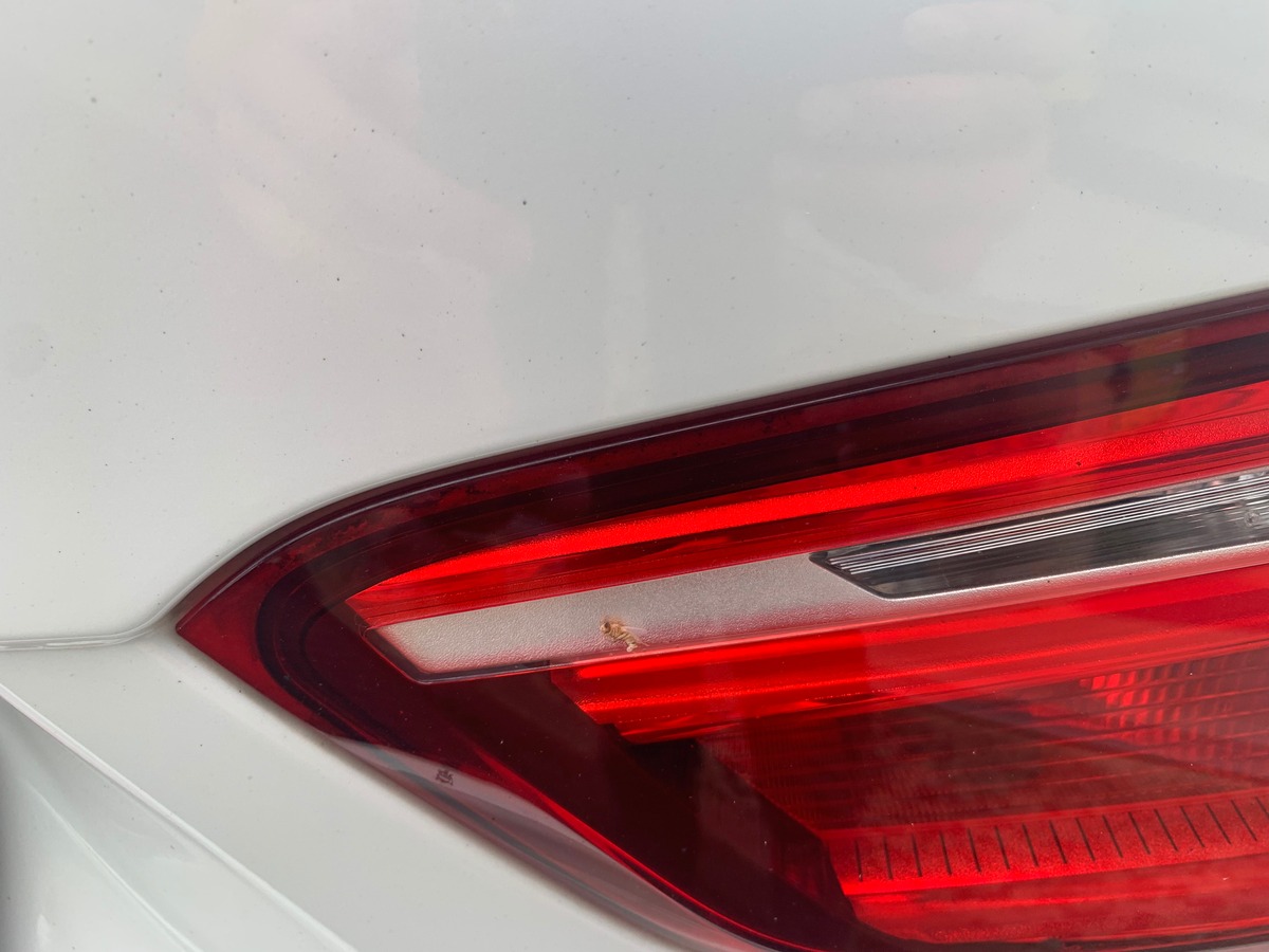 Bmw X1 115 chevaux | X-Line | Caméra de recul | Sièges chauffants | Régulateur de vitesse | GPS