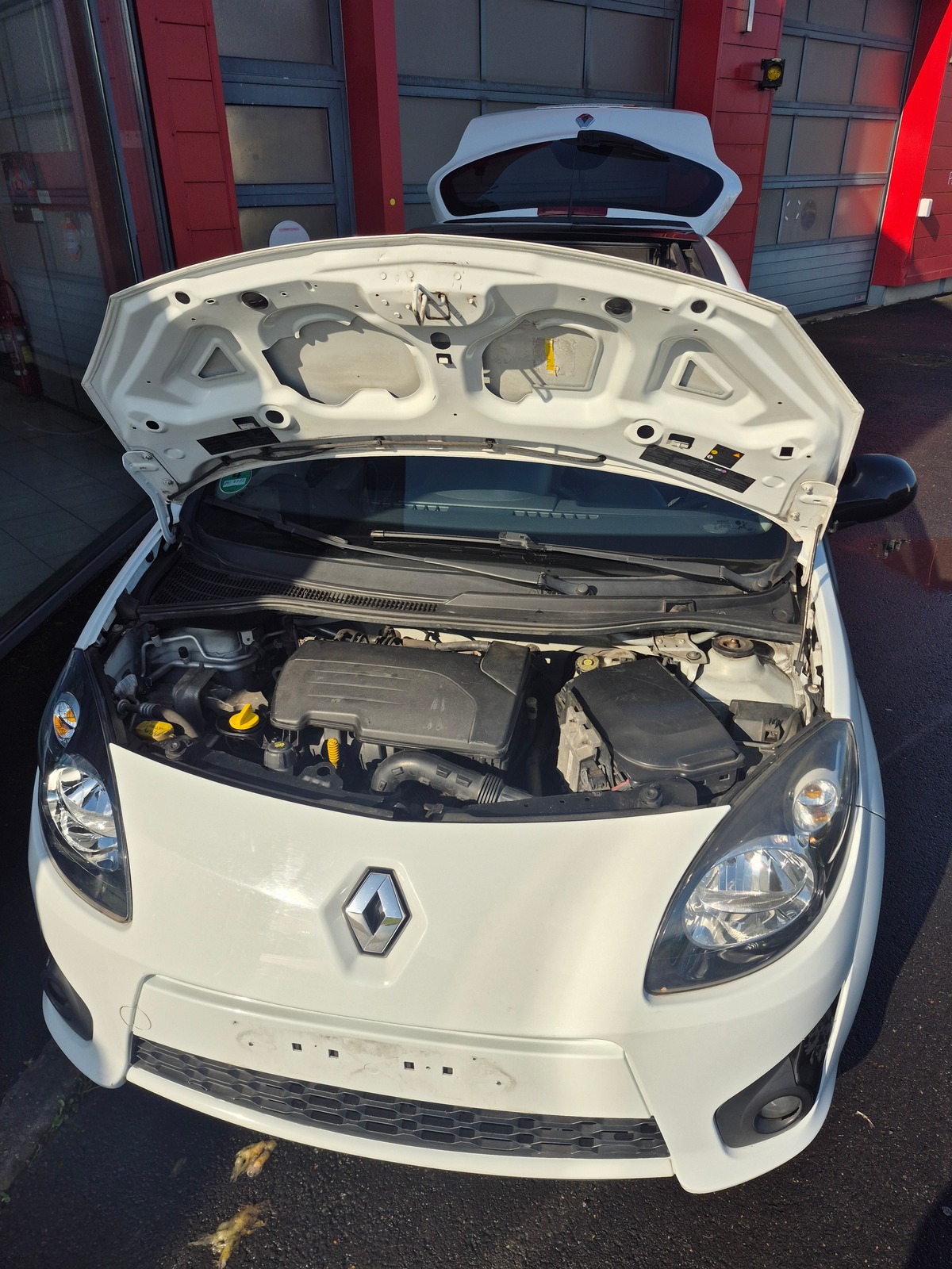 RENAULT Twingo Night and Day