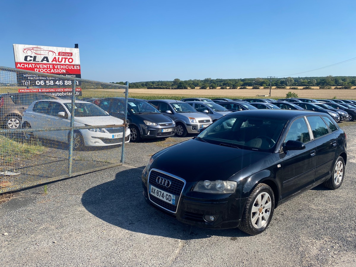 Audi A3 1.9 tdi 105cv ambiente