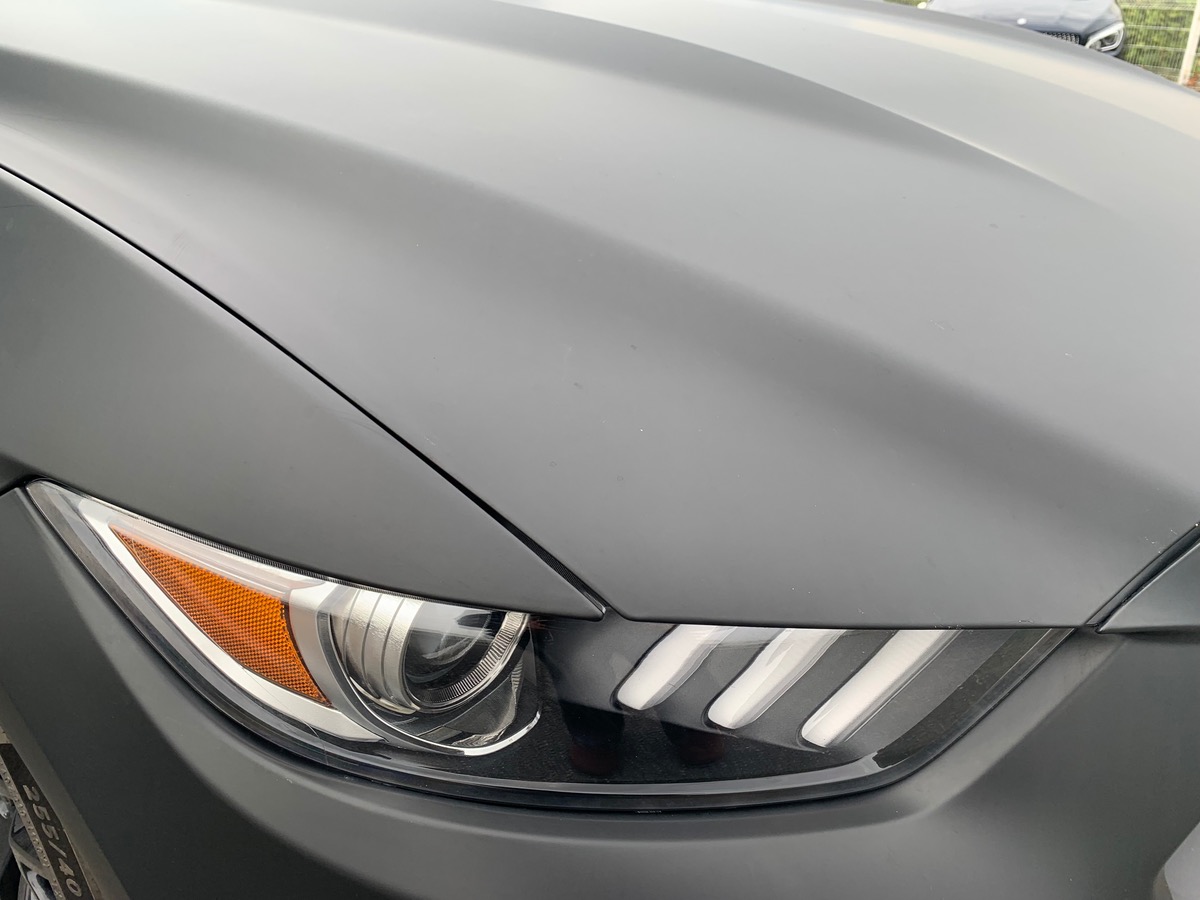 Ford Mustang FASTBACK V8 GT | Sellerie cuir | Sièges chauffants et climatisés | Housse de Protection