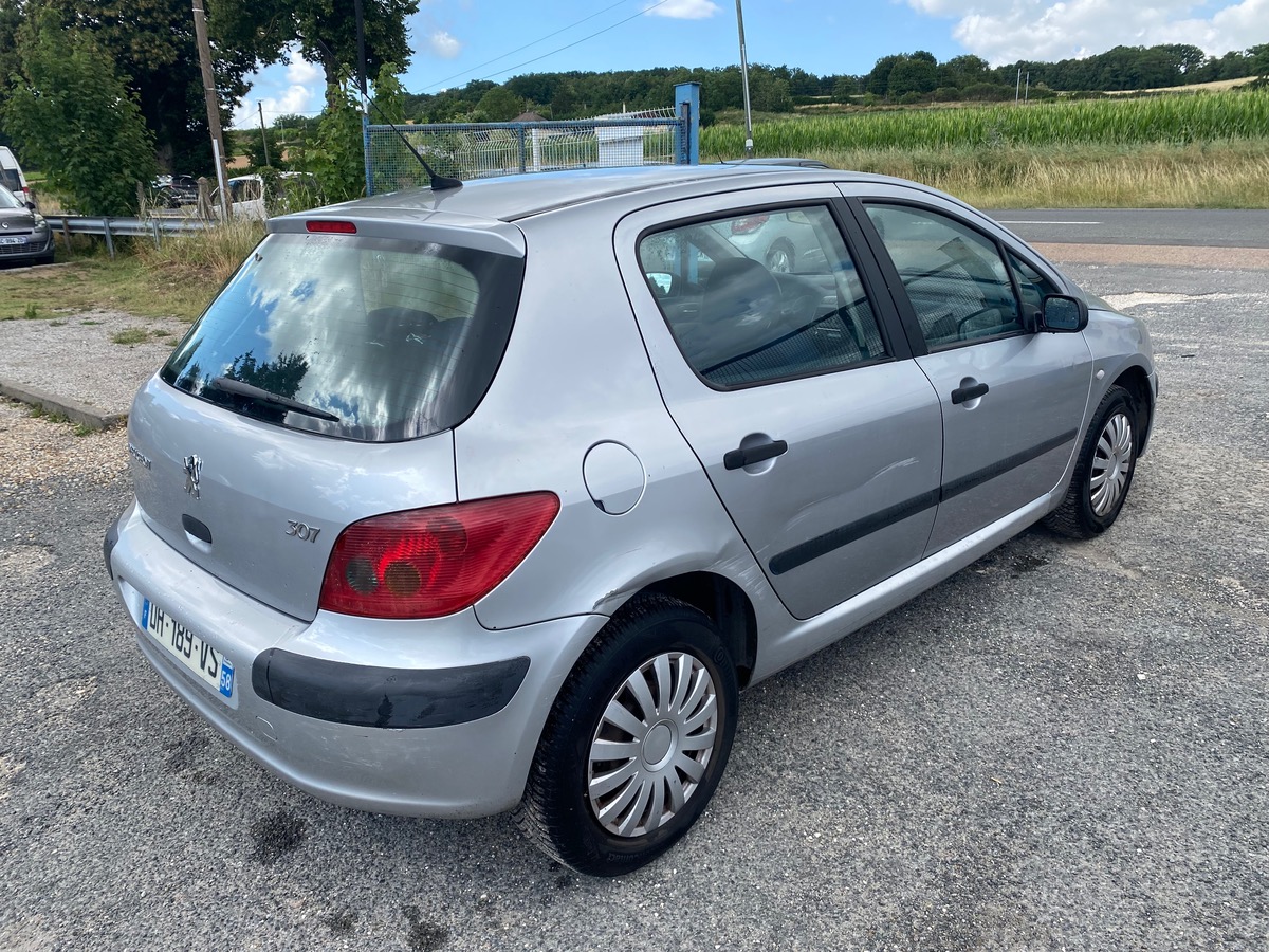 Peugeot 307 xr/xs