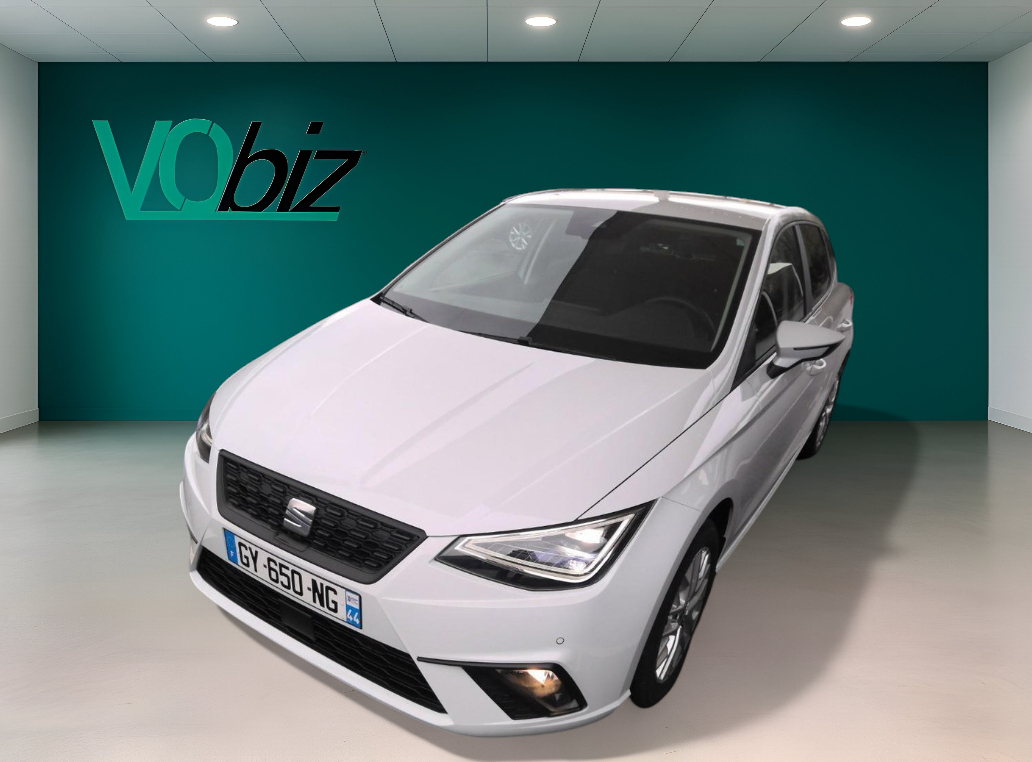 Aperçu de l'annonce : Seat Ibiza