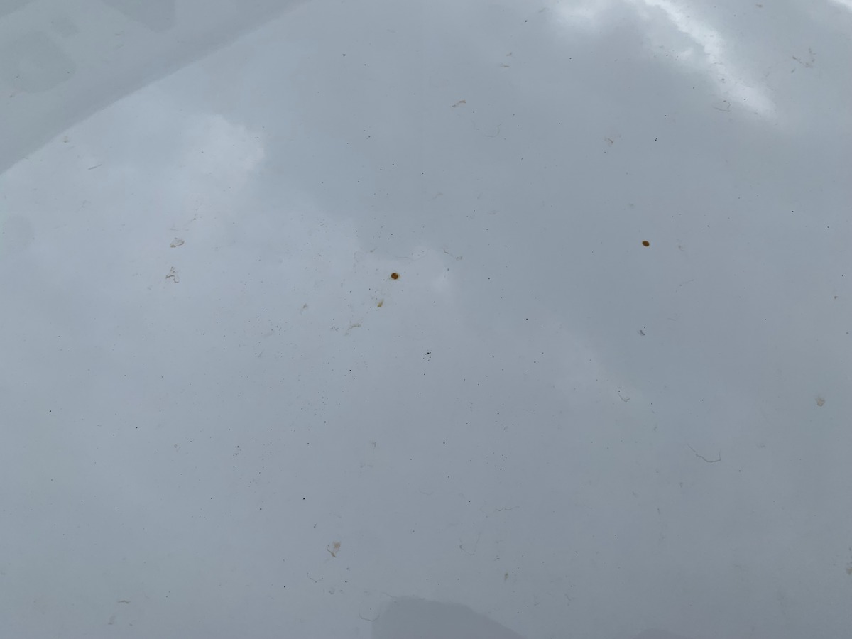 Dacia Sandero Stepway 90 ch | Roue de secours + cric | Aide stationnement Arrière | GPS | Bluetooth