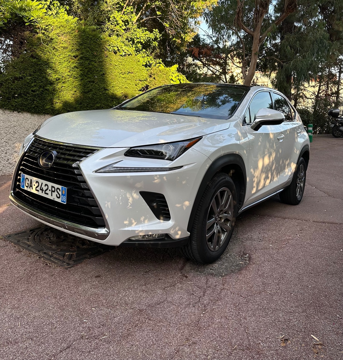 Lexus NX300H 300h 4wd