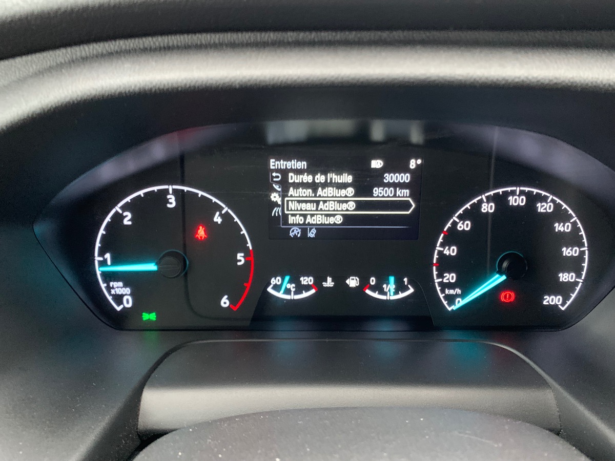 Ford TRANSIT CUSTOM FG 280 L1H1 2.0 130 LIMITED | Marches pieds | Attelage | Régulateur vitesse