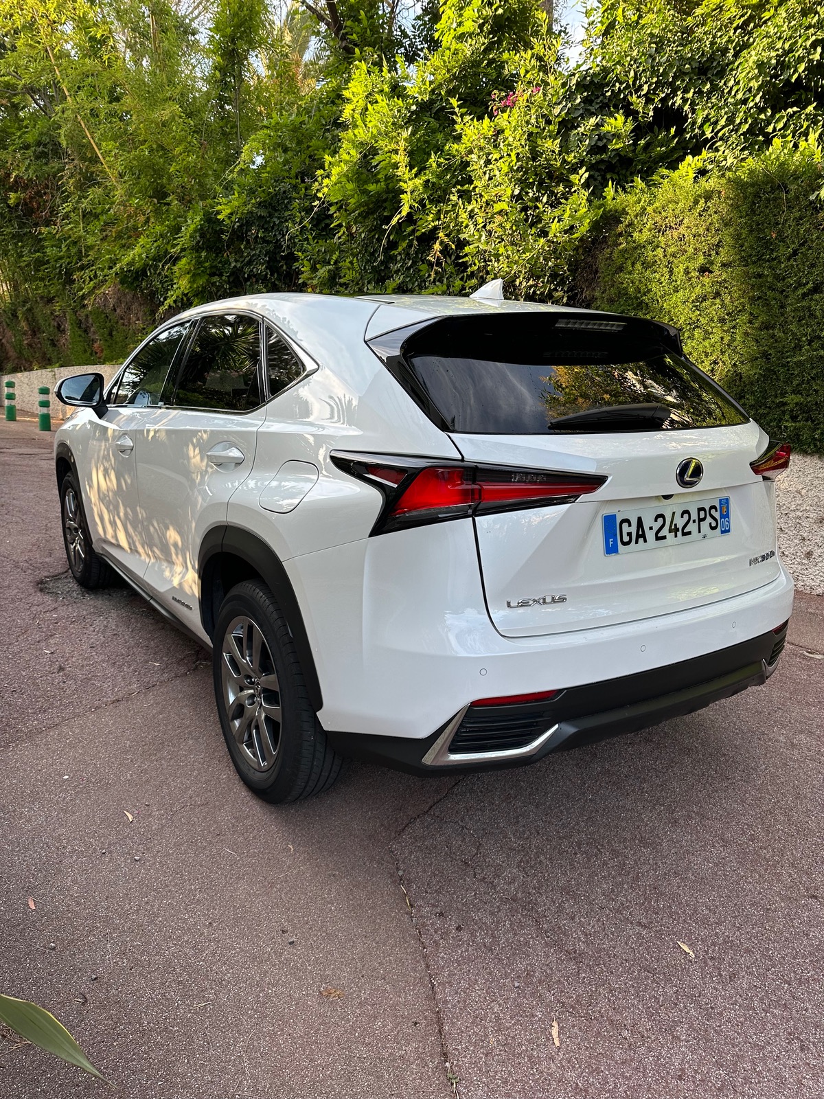 Lexus NX300H 300h 4wd
